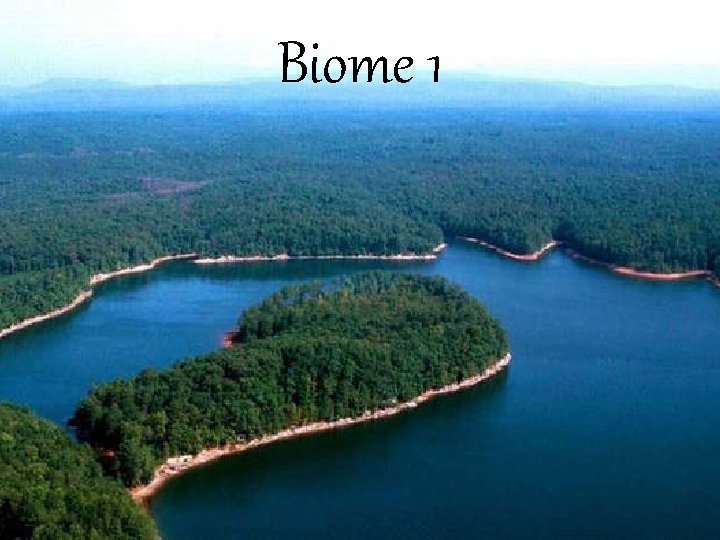Biome 1 