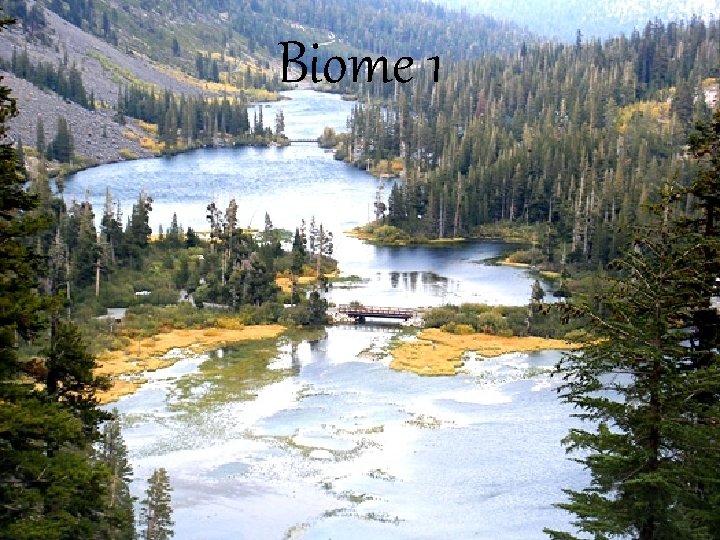 Biome 1 
