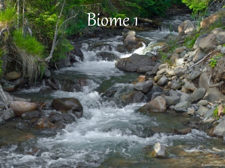 Biome 1 