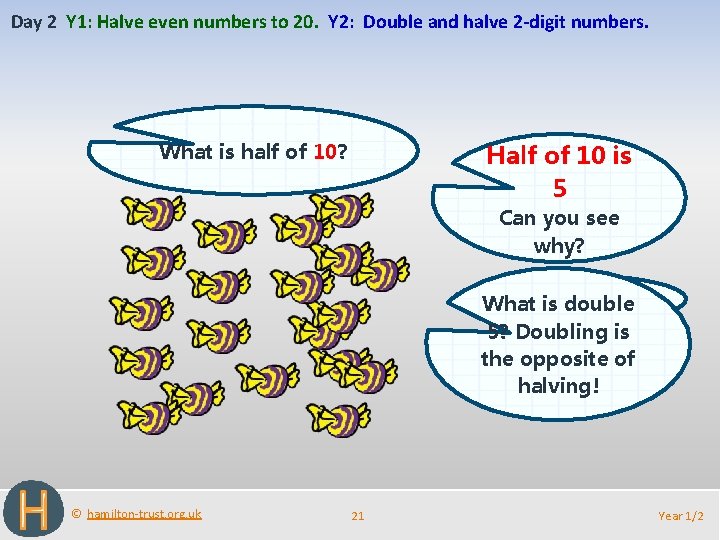 Day 2 Y 1: Halve even numbers to 20. Y 2: Double and halve