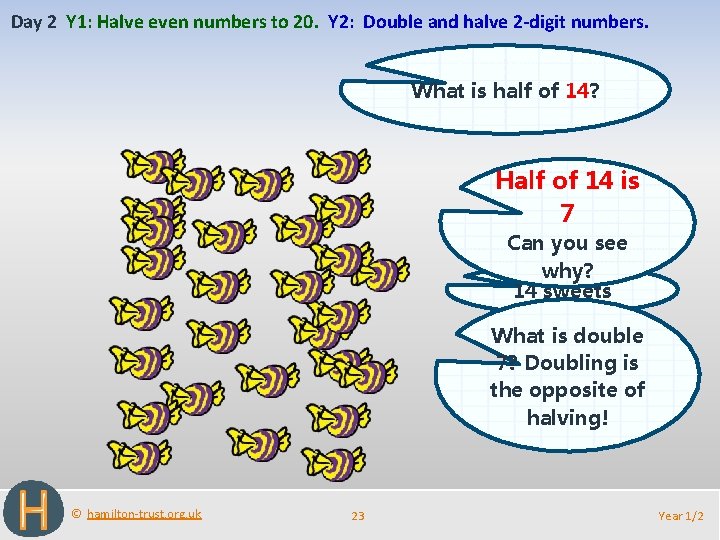 Day 2 Y 1: Halve even numbers to 20. Y 2: Double and halve