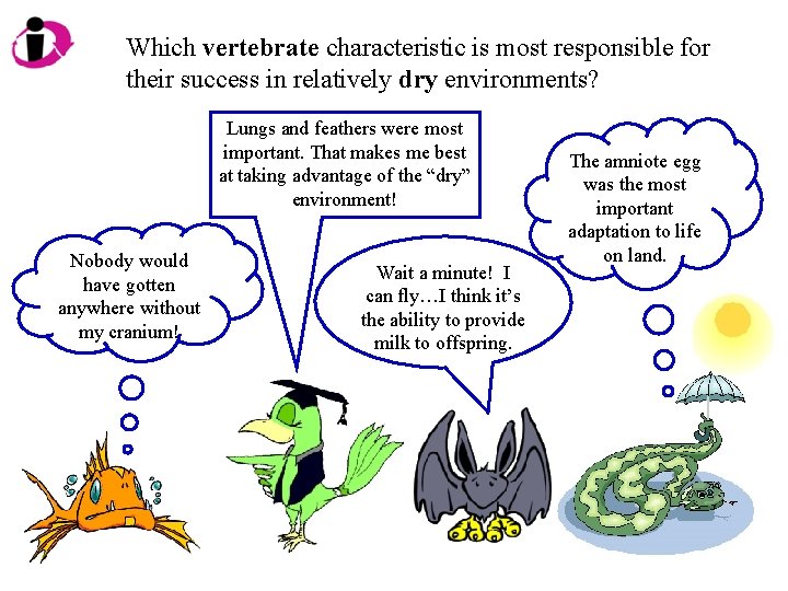 Which vertebrate characteristic is most responsible for their success in relatively dry environments? Lungs