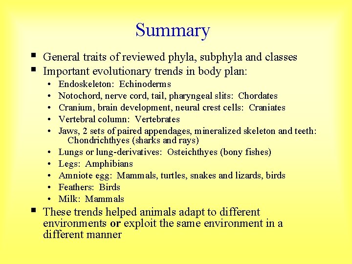 Summary § § General traits of reviewed phyla, subphyla and classes Important evolutionary trends