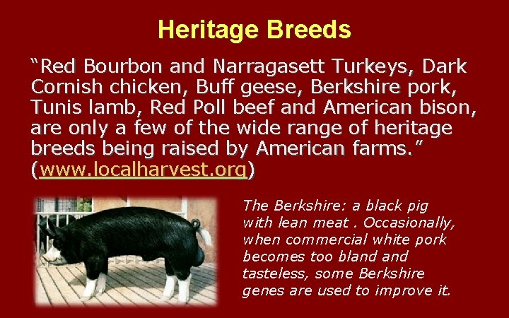 Heritage Breeds “Red Bourbon and Narragasett Turkeys, Dark Cornish chicken, Buff geese, Berkshire pork,