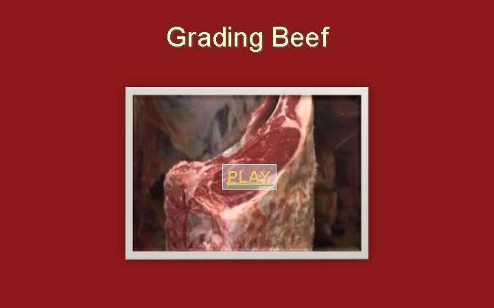 Grading Beef PLAY 