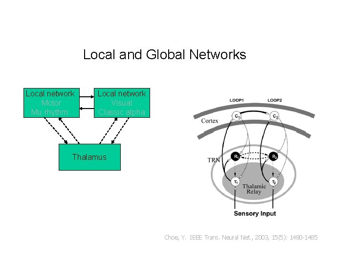 Local and Global Networks Local network Motor Mu rhythm Local network Visual Classic alpha