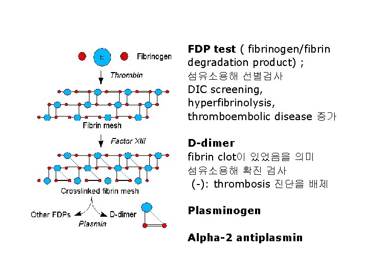 FDP test ( fibrinogen/fibrin degradation product) ; 섬유소용해 선별검사 DIC screening, hyperfibrinolysis, thromboembolic disease
