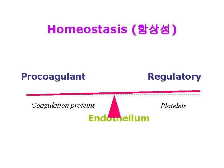 Homeostasis (항상성) Procoagulant Regulatory Coagulation proteins Endothelium Platelets 