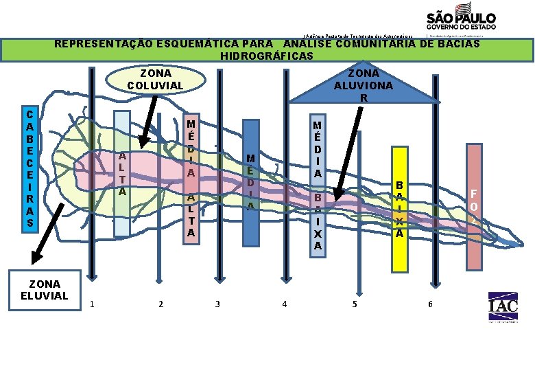 | Agência Paulista de Tecnologia dos Agronegócios REPRESENTAÇÃO ESQUEMÁTICA PARA ANÁLISE COMUNITÁRIA DE BACIAS