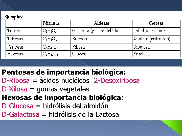 Pentosas de importancia biológica: D-Ribosa = ácidos nucléicos 2 -Desoxiribosa D-Xilosa = gomas vegetales