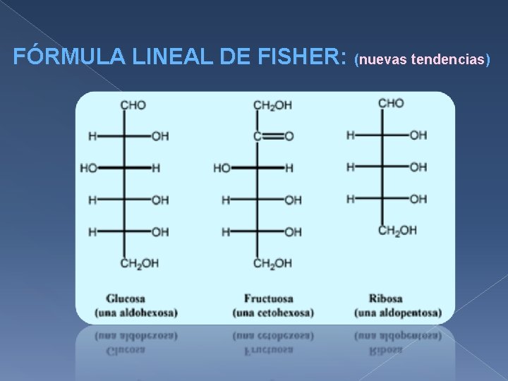 FÓRMULA LINEAL DE FISHER: (nuevas tendencias) 