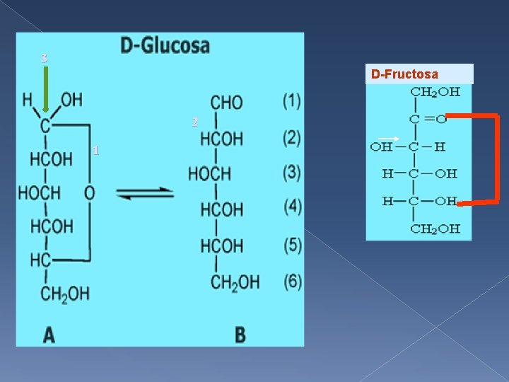 3 D-Fructosa 2 1 
