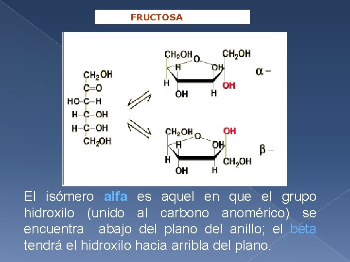 FRUCTOSA El isómero alfa es aquel en que el grupo hidroxilo (unido al carbono