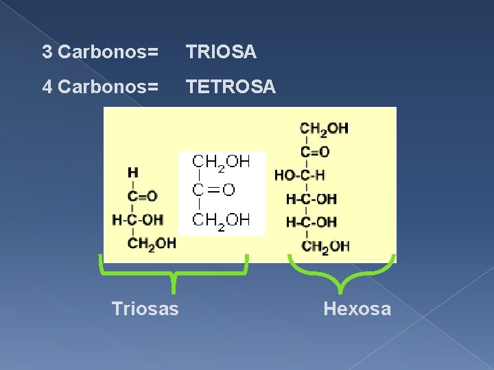 3 Carbonos= TRIOSA 4 Carbonos= TETROSA Triosas Hexosa 