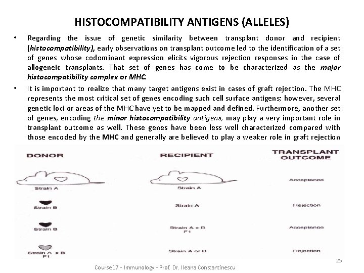 HISTOCOMPATIBILITY ANTIGENS (ALLELES) • • Regarding the issue of genetic similarity between transplant donor