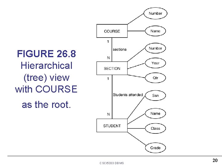 FIGURE 26. 8 Hierarchical (tree) view with COURSE as the root. CSCI 5333 DBMS FIGURE 26. 8 Hierarchical (tree) view with COURSE as the root. CSCI 5333 DBMS