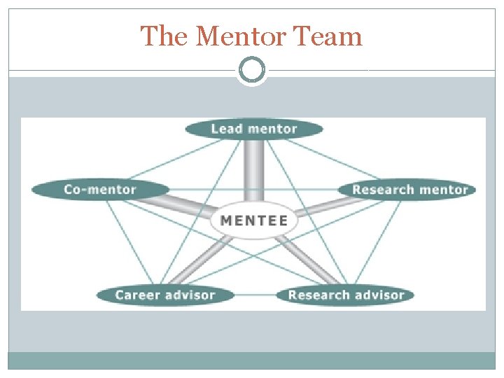 The Mentor Team 