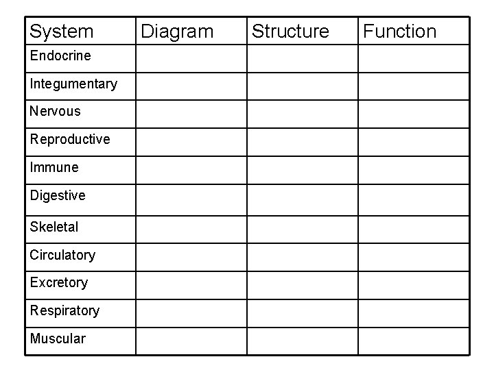 System Endocrine Integumentary Nervous Reproductive Immune Digestive Skeletal Circulatory Excretory Respiratory Muscular Diagram Structure System Endocrine Integumentary Nervous Reproductive Immune Digestive Skeletal Circulatory Excretory Respiratory Muscular Diagram Structure