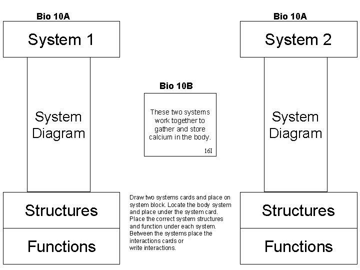 Bio 10 A System 1 System 2 Bio 10 B System Diagram These two Bio 10 A System 1 System 2 Bio 10 B System Diagram These two