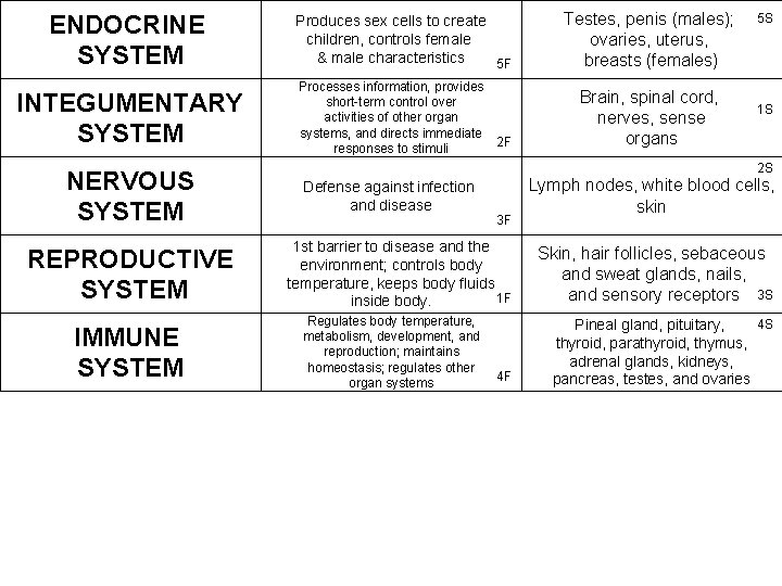 ENDOCRINE SYSTEM Produces sex cells to create children, controls female & male characteristics 5 ENDOCRINE SYSTEM Produces sex cells to create children, controls female & male characteristics 5