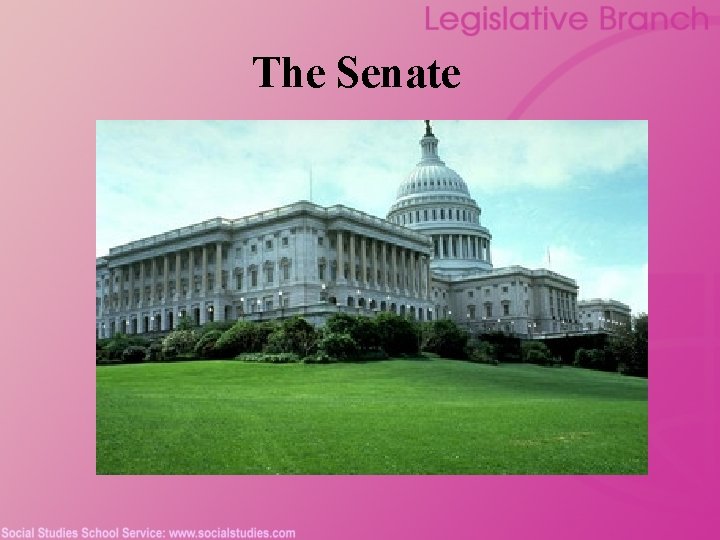 The Senate 