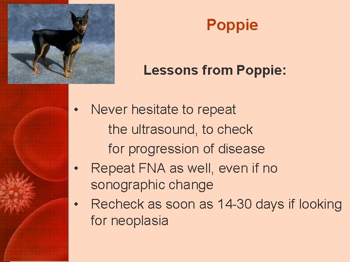Poppie Lessons from Poppie: • Never hesitate to repeat the ultrasound, to check for