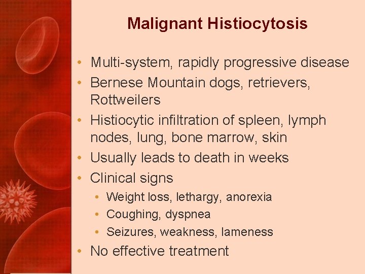 Malignant Histiocytosis • Multi-system, rapidly progressive disease • Bernese Mountain dogs, retrievers, Rottweilers •