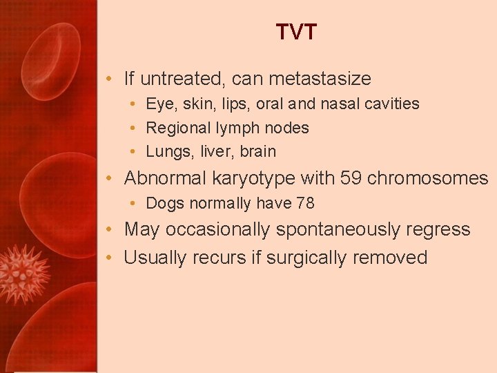 TVT • If untreated, can metastasize • Eye, skin, lips, oral and nasal cavities