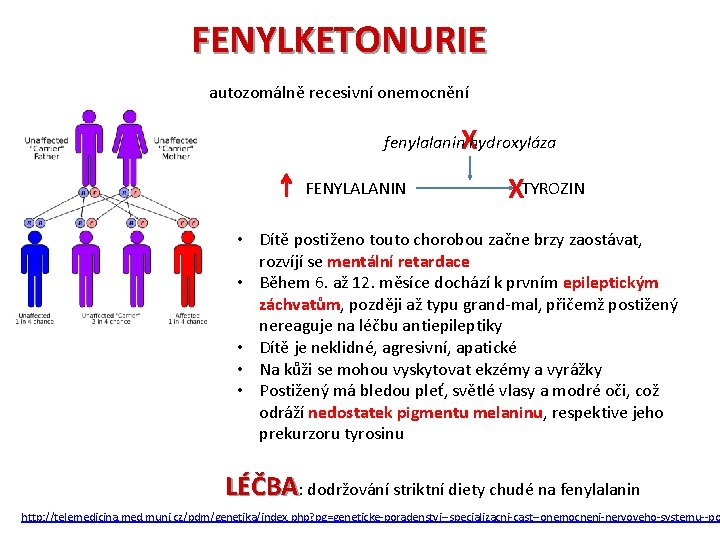 FENYLKETONURIE autozomálně recesivní onemocnění X fenylalanin hydroxyláza FENYLALANIN XTYROZIN • Dítě postiženo touto chorobou