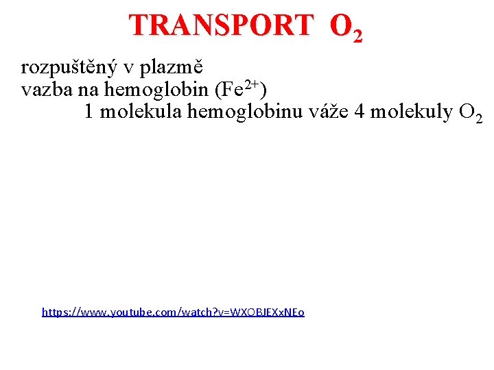 TRANSPORT O 2 rozpuštěný v plazmě vazba na hemoglobin (Fe 2+) 1 molekula hemoglobinu