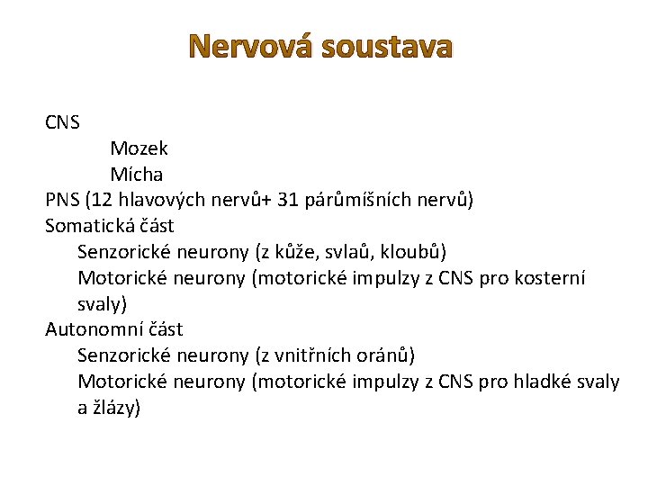 Nervová soustava CNS Mozek Mícha PNS (12 hlavových nervů+ 31 párůmíšních nervů) Somatická část