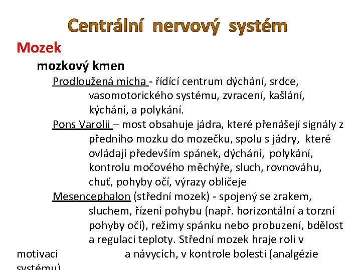 Centrální nervový systém Mozek mozkový kmen Prodloužená mícha - řídící centrum dýchání, srdce, vasomotorického