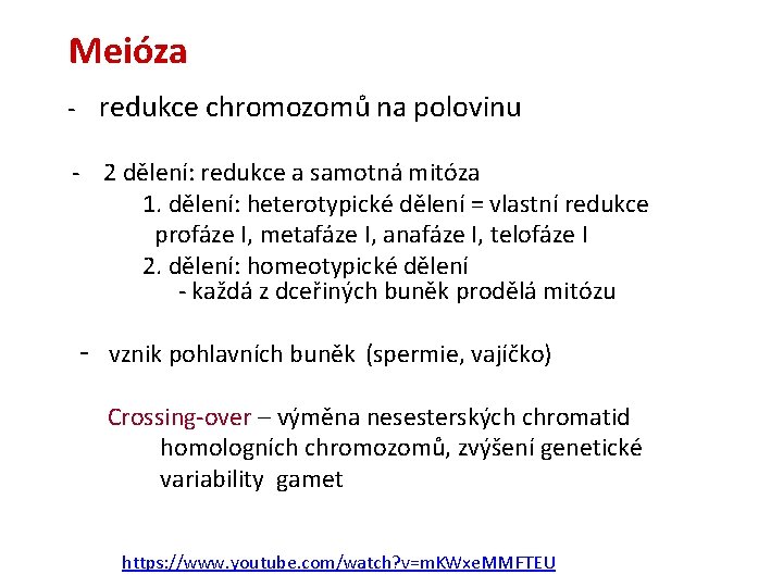 Meióza - redukce chromozomů na polovinu - 2 dělení: redukce a samotná mitóza 1.