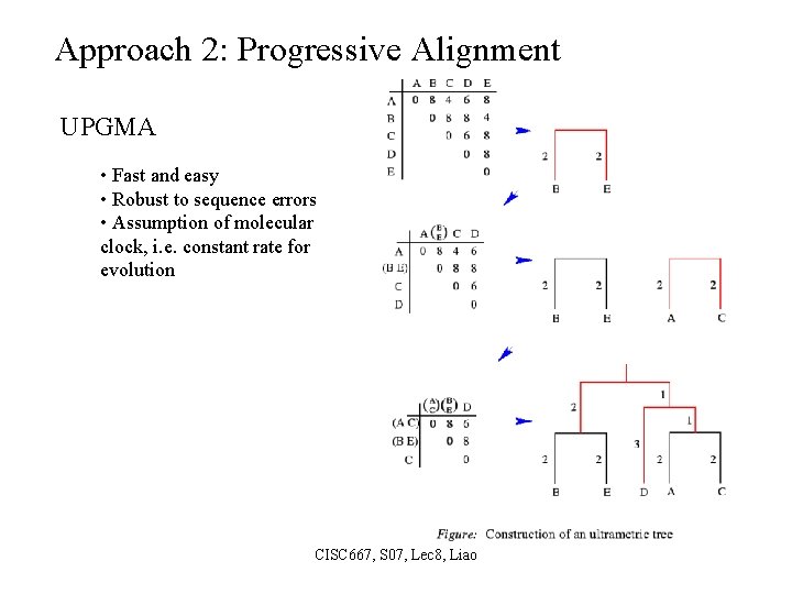 Approach 2: Progressive Alignment UPGMA • Fast and easy • Robust to sequence errors