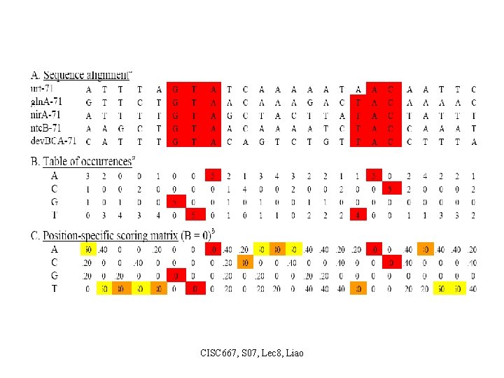 CISC 667, S 07, Lec 8, Liao 