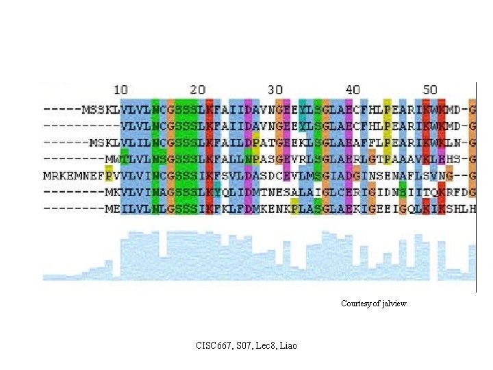 Courtesy of jalview CISC 667, S 07, Lec 8, Liao 