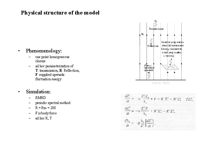 Physical structure of the model • Phenomenology: – – • one point homogeneous closure