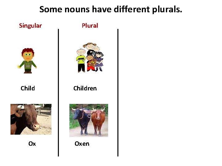 Some nouns have different plurals. Singular Child Ox Plural Children Oxen 