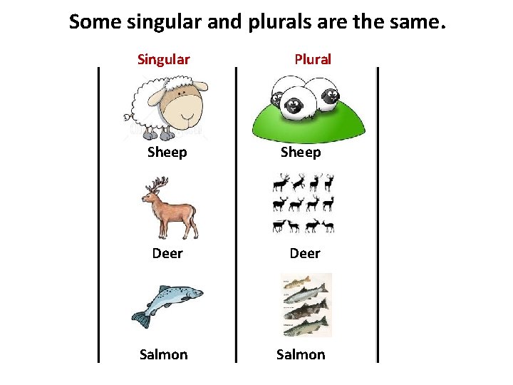 Some singular and plurals are the same. Singular Plural Sheep Deer Salmon 