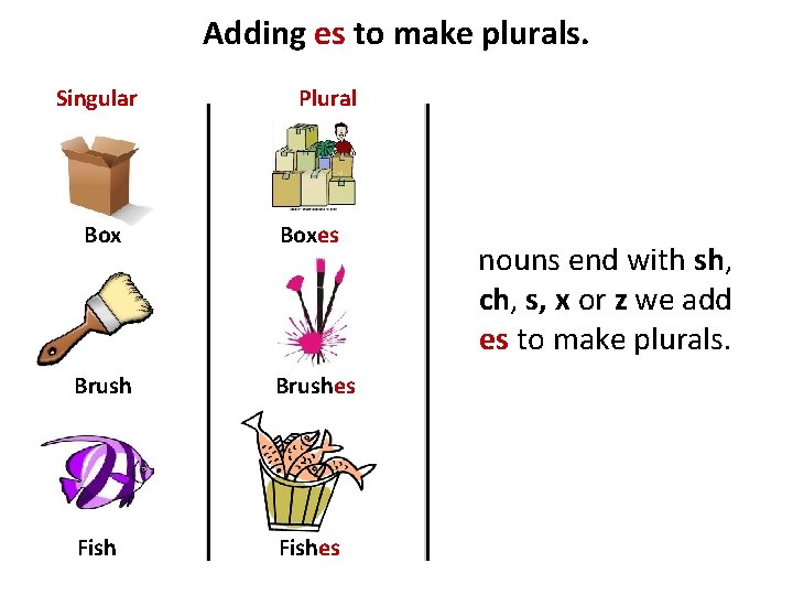 Adding es to make plurals. Singular Plural Boxes Brushes Fishes nouns end with sh,