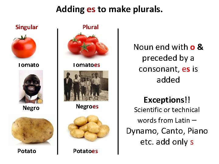 Adding es to make plurals. Singular Tomato Negro Potato Plural Tomatoes Negroes Potatoes Noun