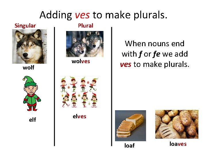 Adding ves to make plurals. Singular wolf elf Plural wolves When nouns end with