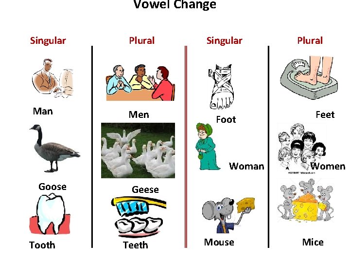 Vowel Change Singular Plural Singular Man Men Foot Woman Goose Tooth Plural Feet Women