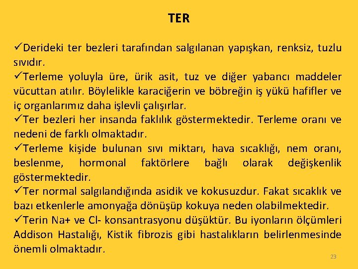 TER üDerideki ter bezleri tarafından salgılanan yapışkan, renksiz, tuzlu sıvıdır. üTerleme yoluyla üre, ürik