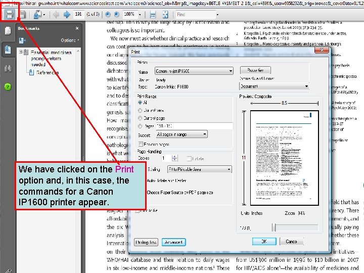 We have clicked on the Print option and, in this case, the commands for