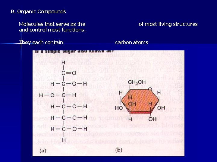 B. Organic Compounds Molecules that serve as the and control most functions. They each