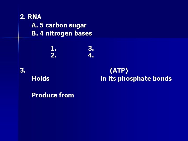 2. RNA A. 5 carbon sugar B. 4 nitrogen bases 1. 2. 3. Holds