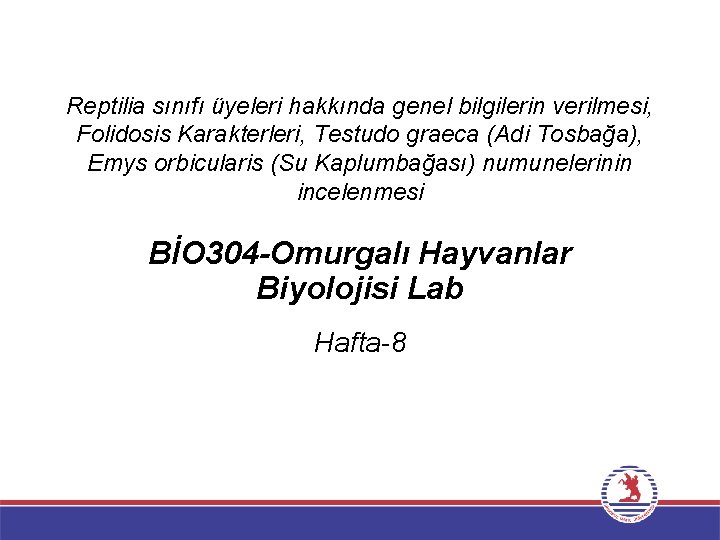 Reptilia sınıfı üyeleri hakkında genel bilgilerin verilmesi, Folidosis Karakterleri, Testudo graeca (Adi Tosbağa), Emys