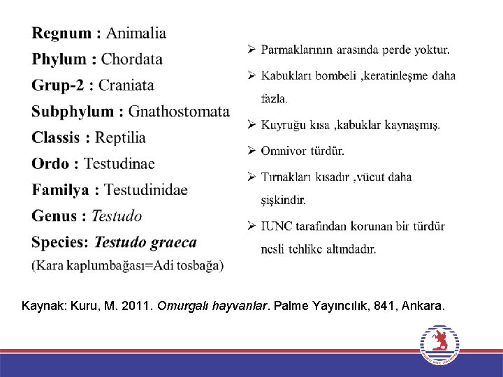Kaynak: Kuru, M. 2011. Omurgalı hayvanlar. Palme Yayıncılık, 841, Ankara. 