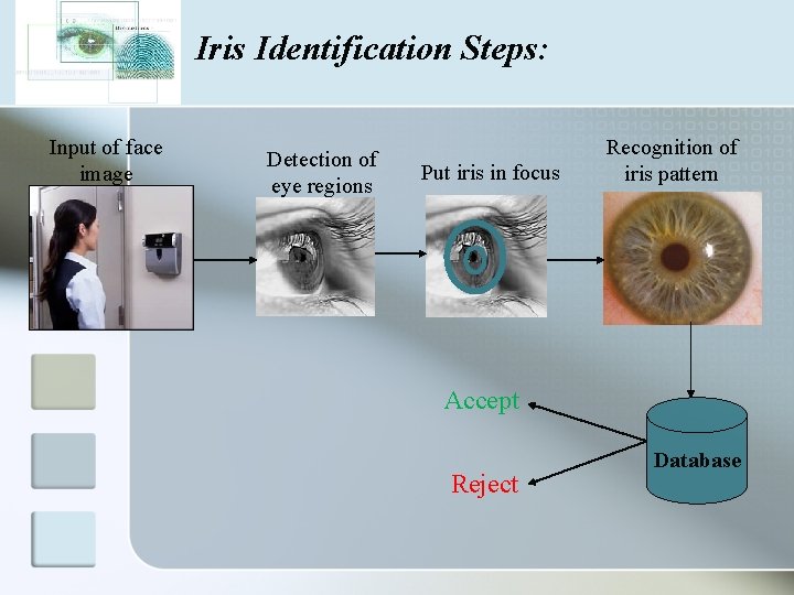Iris Identification Steps: Input of face image Detection of eye regions Put iris in